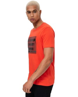 FC-232LCM242044CORAL-L_2