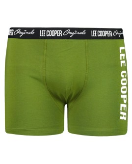 FC-LCUBOX1PLOGO2PESTO-XXL