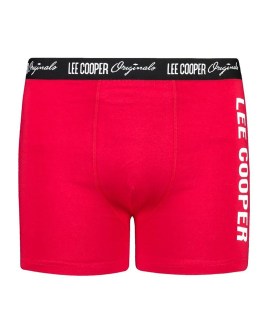FC-LCUBOX1PLOGO2WINE-L