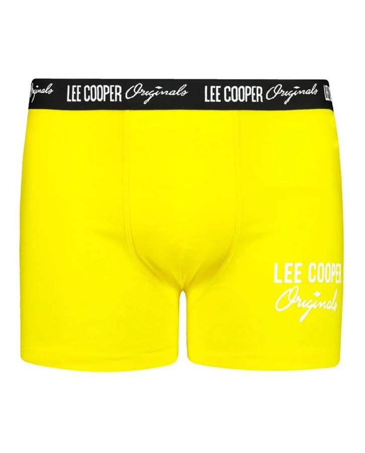 FC-LCUBOX1PLOGOBYEL-L
