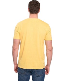 KO-10106121.Y16-L_2