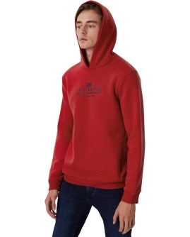 TD-231LCM241015.3101-L_3