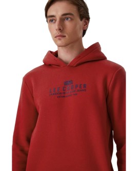 TD-231LCM241015.3101-L_4