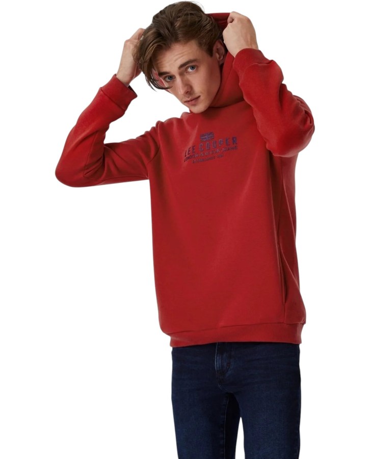TD-231LCM241015.3101-L