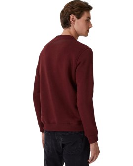 TD-231LCM241022.4201-XXL_4