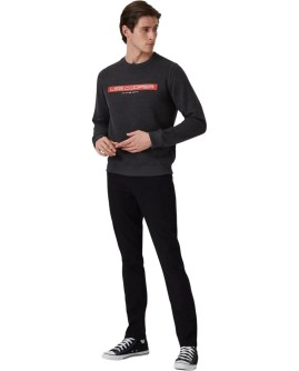 TD-231LCM241022.7504-L_1