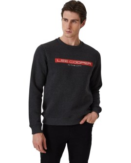 TD-231LCM241022.7504-L