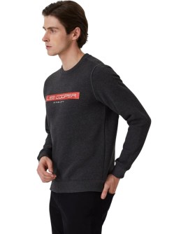 TD-231LCM241022.7504-L_3
