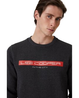 TD-231LCM241022.7504-L_4
