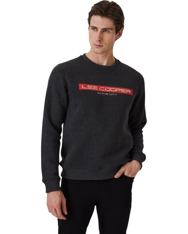 TD-231LCM241022.7504-L