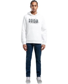 TD-251LCM241039.1101-L_1
