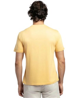 TD-252LCM242042.1719-L_1