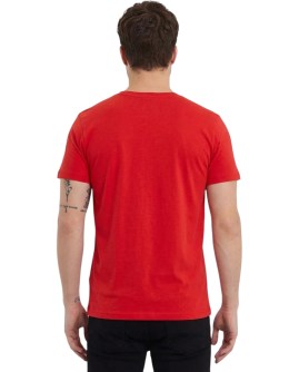 TD-TST0201.RED-L_5